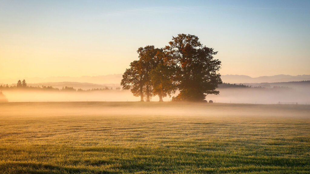 Herbstzeit