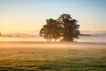 Herbstzeit