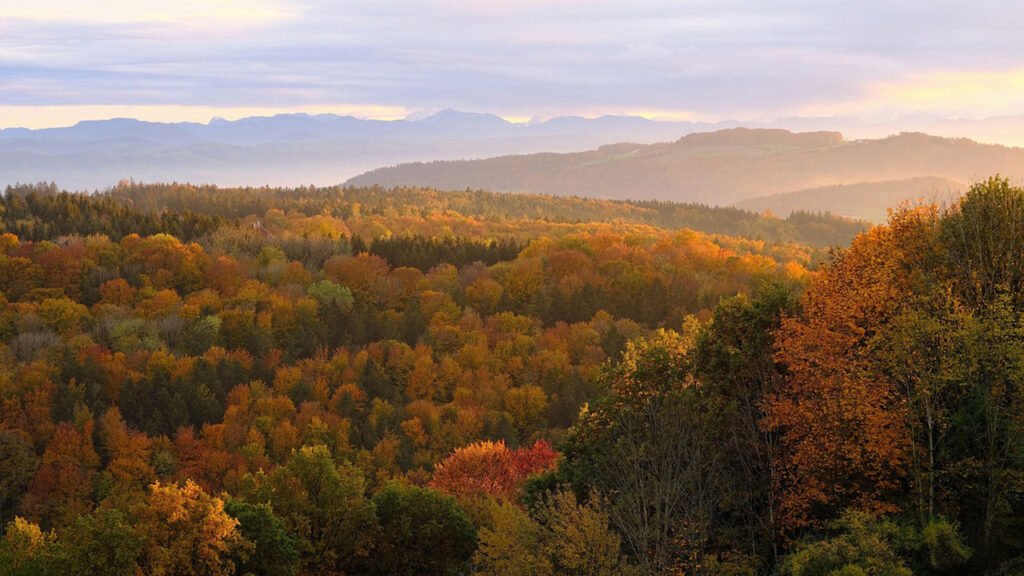Wandern im Herbst