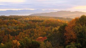 Wandern im Herbst