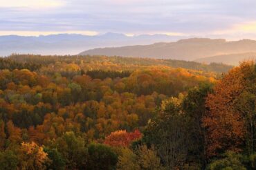 Wandern im Herbst