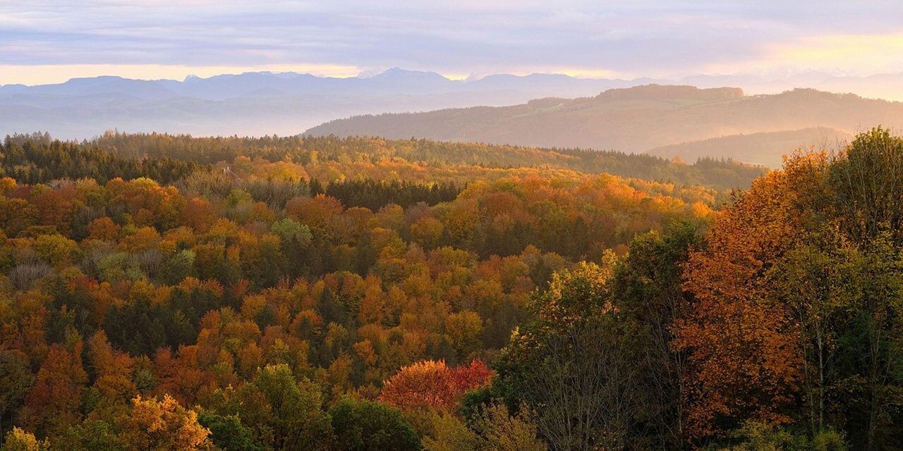 Wandern im Herbst