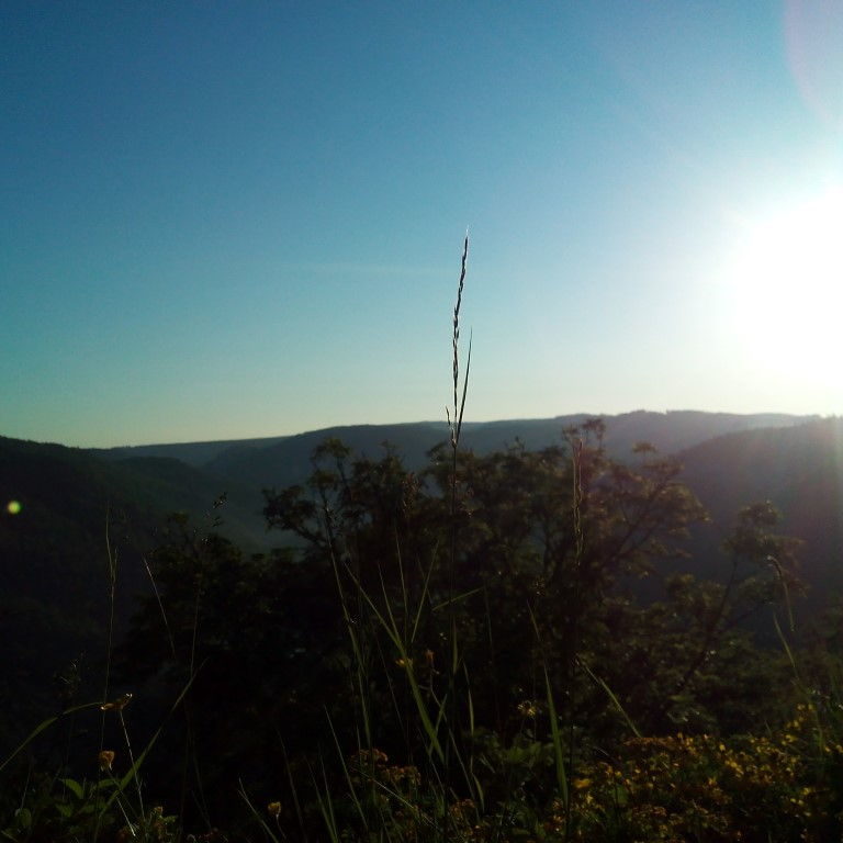 IMG_20150605_063052 Ausblick mit Sonne