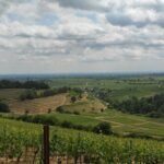 IMG_20250601_124053