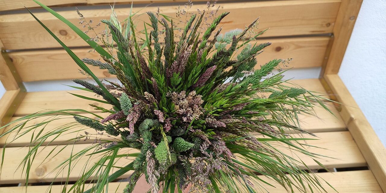 Strauß Wiesengräser