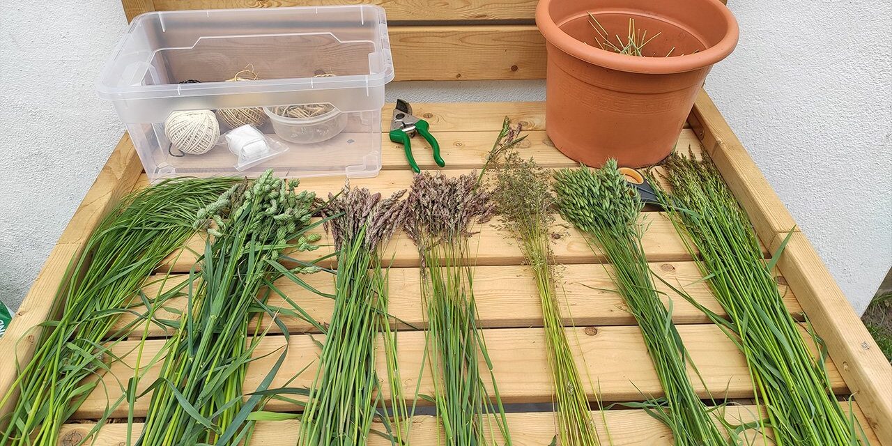 Wiesengräser sortiert