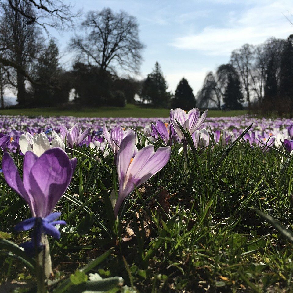 Frühling