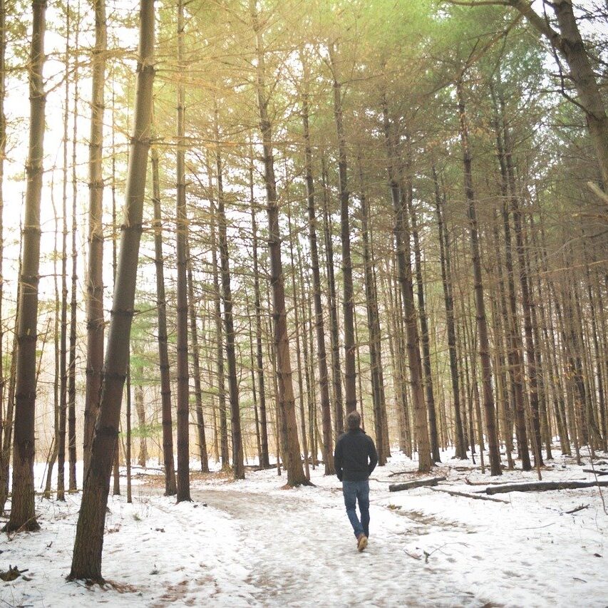 Waldweg im Winter